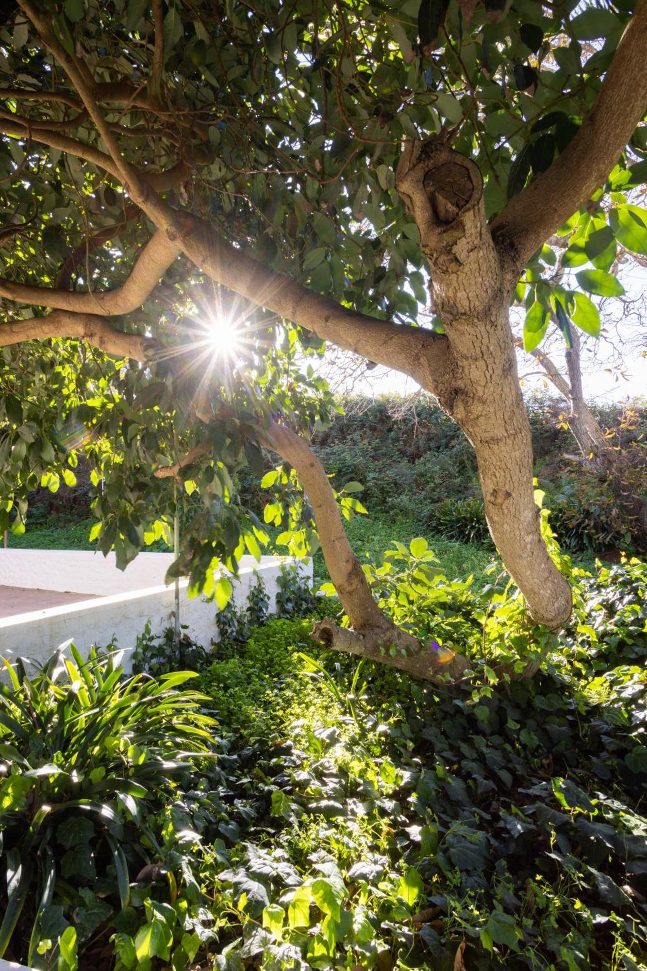 Lightbooking Casa De Campo Ortigal Tenerife La Esperanza  외부 사진